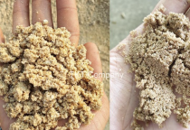 Cách phân biệt các loại cát xây dựng phổ biến trên thị trường