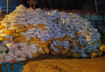 Cát Xây Dựng Đóng Bao